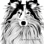 Abstract Collie Coloring Pages for Artists 1