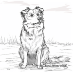 Action-Filled Border Collie Coloring Pages 1