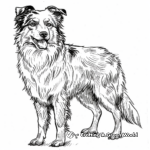 Action-Filled Border Collie Coloring Pages 2