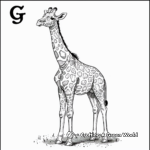 Adult's Advanced Giraffe Coloring Pages 3