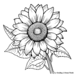 Advanced Sunflower Coloring Pages for Adults 1