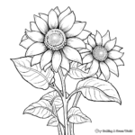 Advanced Sunflower Coloring Pages for Adults 3