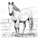 American Quarter Horse Breed Coloring Pages 1