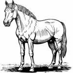 American Quarter Horse Breed Coloring Pages 4