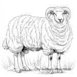 Angora Sheep Coloring Sheets for Wool Lovers 1