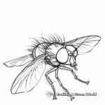 Artistic Fly Coloring Pages for Advanced Coloring 3