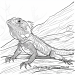 Aussie Frilled Lizard: Unique Australian Species Coloring Pages 4