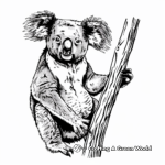 Australian Koala Scene Coloring Pages 4