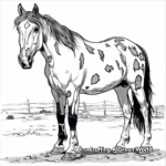 Beautiful American Paint Horse Coloring Pages 2