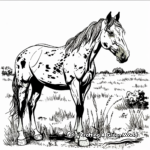 Beautiful American Paint Horse Coloring Pages 3