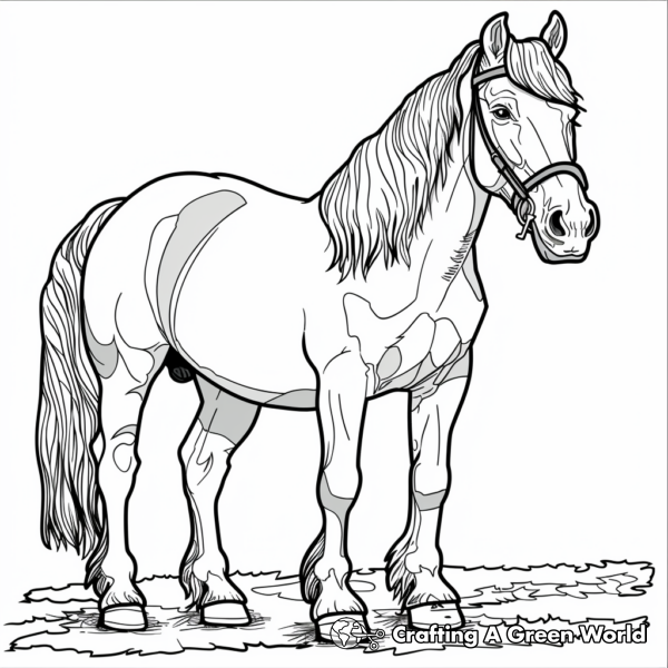 Beautiful Belgian Draft Horse Coloring Pages 1