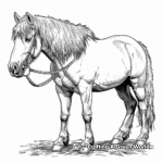 Beautiful Belgian Draft Horse Coloring Pages 4