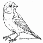 Beautiful Bird Tracing Coloring Pages 4