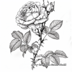 Beautiful Black and White Rose Coloring Pages 2