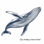 Beautiful Blue Whale Coloring Pages 1