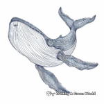 Beautiful Blue Whale Coloring Pages 2
