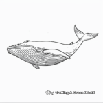 Beautiful Blue Whale Coloring Pages 4