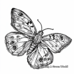 Beautiful Butterfly Coloring Pages 4