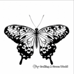Beautiful Butterfly Full Size Coloring Pages 1