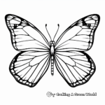 Beautiful Butterfly Full Size Coloring Pages 2