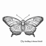 Beautiful Butterfly Full Size Coloring Pages 4