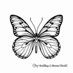 Beautiful Butterfly Symbolizing Hope Coloring Pages 2