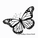 Beautiful Butterfly Symbolizing Hope Coloring Pages 4