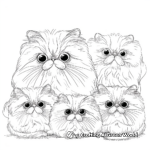 Beautiful Persian Cat Coloring Pages 2