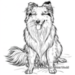 Beautiful Rough Collie Coloring Pages 1
