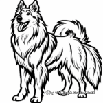 Beautiful Rough Collie Coloring Pages 2