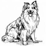 Beautiful Rough Collie Coloring Pages 3