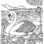 Beautiful Swan Pond Coloring Pages 2