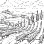 Beautiful Tuscan Vineyard Coloring Pages 1