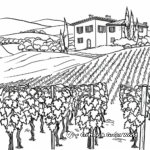 Beautiful Tuscan Vineyard Coloring Pages 3