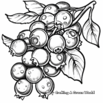 Blueberry Fruit Coloring Pages 4