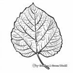 Bright Aspen Leaf Coloring Pages for Fall 2