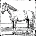 Buckskin Quarter Horse Coloring Pages 1