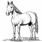 Buckskin Quarter Horse Coloring Pages 2
