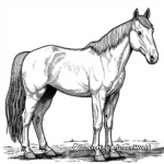 Buckskin Quarter Horse Coloring Pages 4