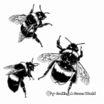 Buzzing Bees: Detailed Bumblebee Coloring Pages 4