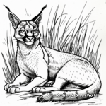 Caracal in the Desert Coloring Pages 4
