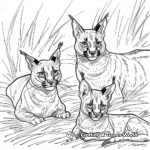Caracal with Cubs: Family Scene Coloring Pages 4