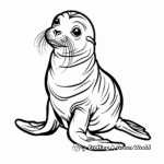 Cartoon Sea Lion Coloring Pages 2