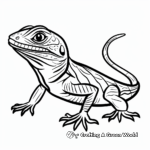 Cartoon-Style Frilled Lizard Coloring Pages 4