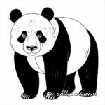 Challenging Panda Bear Coloring Pages 2