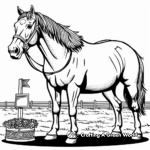 Champion Quarter Horse Competition Coloring Pages 1