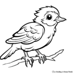 Charming Baby Canary Bird Coloring Sheets 4