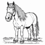 Charming Clydesdale Draft Horse Coloring Pages 1