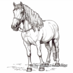 Charming Clydesdale Draft Horse Coloring Pages 3