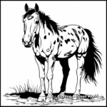 Charming Tobiano Paint Horse Coloring Pages 1